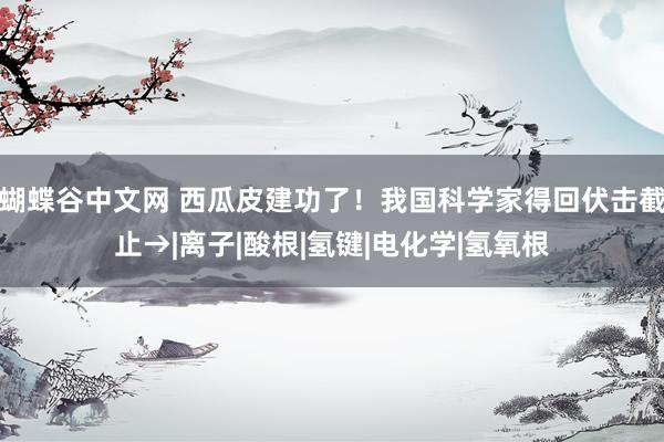 蝴蝶谷中文网 西瓜皮建功了！我国科学家得回伏击截止→|离子|酸根|氢键|电化学|氢氧根