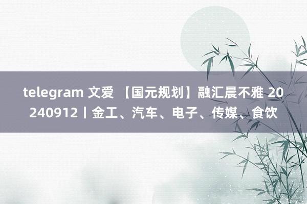 telegram 文爱 【国元规划】融汇晨不雅 20240912丨金工、汽车、电子、传媒、食饮