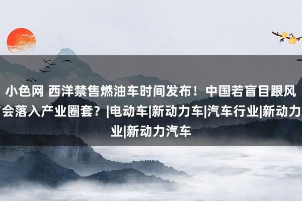小色网 西洋禁售燃油车时间发布！中国若盲目跟风西方会落入产业圈套？|电动车|新动力车|汽车行业|新动力汽车