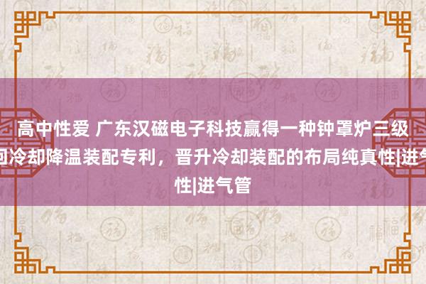 高中性爱 广东汉磁电子科技赢得一种钟罩炉三级轮回冷却降温装配专利，晋升冷却装配的布局纯真性|进气管