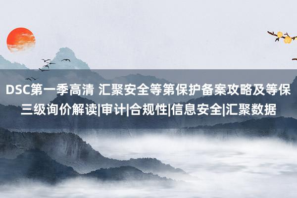 DSC第一季高清 汇聚安全等第保护备案攻略及等保三级询价解读|审计|合规性|信息安全|汇聚数据