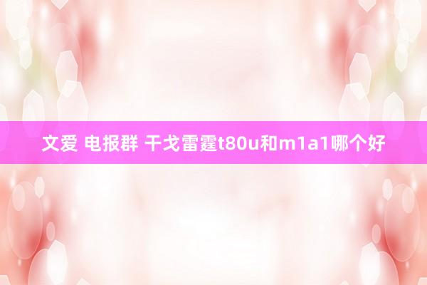 文爱 电报群 干戈雷霆t80u和m1a1哪个好