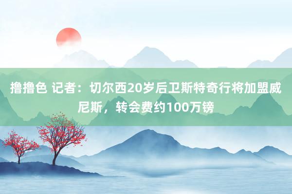 撸撸色 记者：切尔西20岁后卫斯特奇行将加盟威尼斯，转会费约100万镑