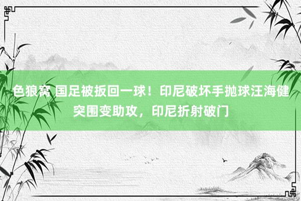 色狼窝 国足被扳回一球！印尼破坏手抛球汪海健突围变助攻，印尼折射破门