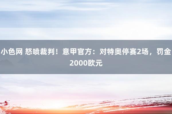 小色网 怒喷裁判！意甲官方：对特奥停赛2场，罚金2000欧元