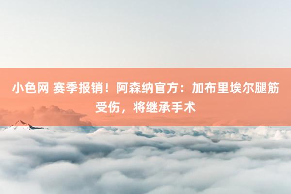 小色网 赛季报销！阿森纳官方：加布里埃尔腿筋受伤，将继承手术